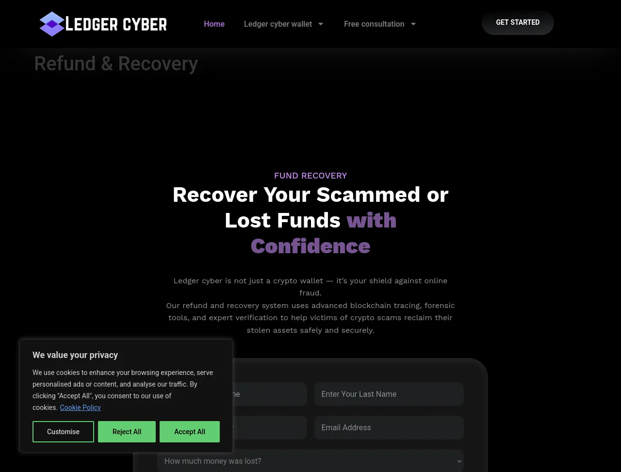 Screenshot of ledgercyber.net