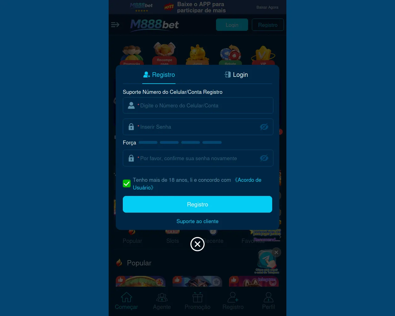 Screenshot of v2-chinesa.fun