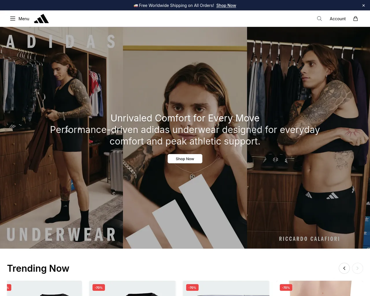 Screenshot of activeadidasstore.shop