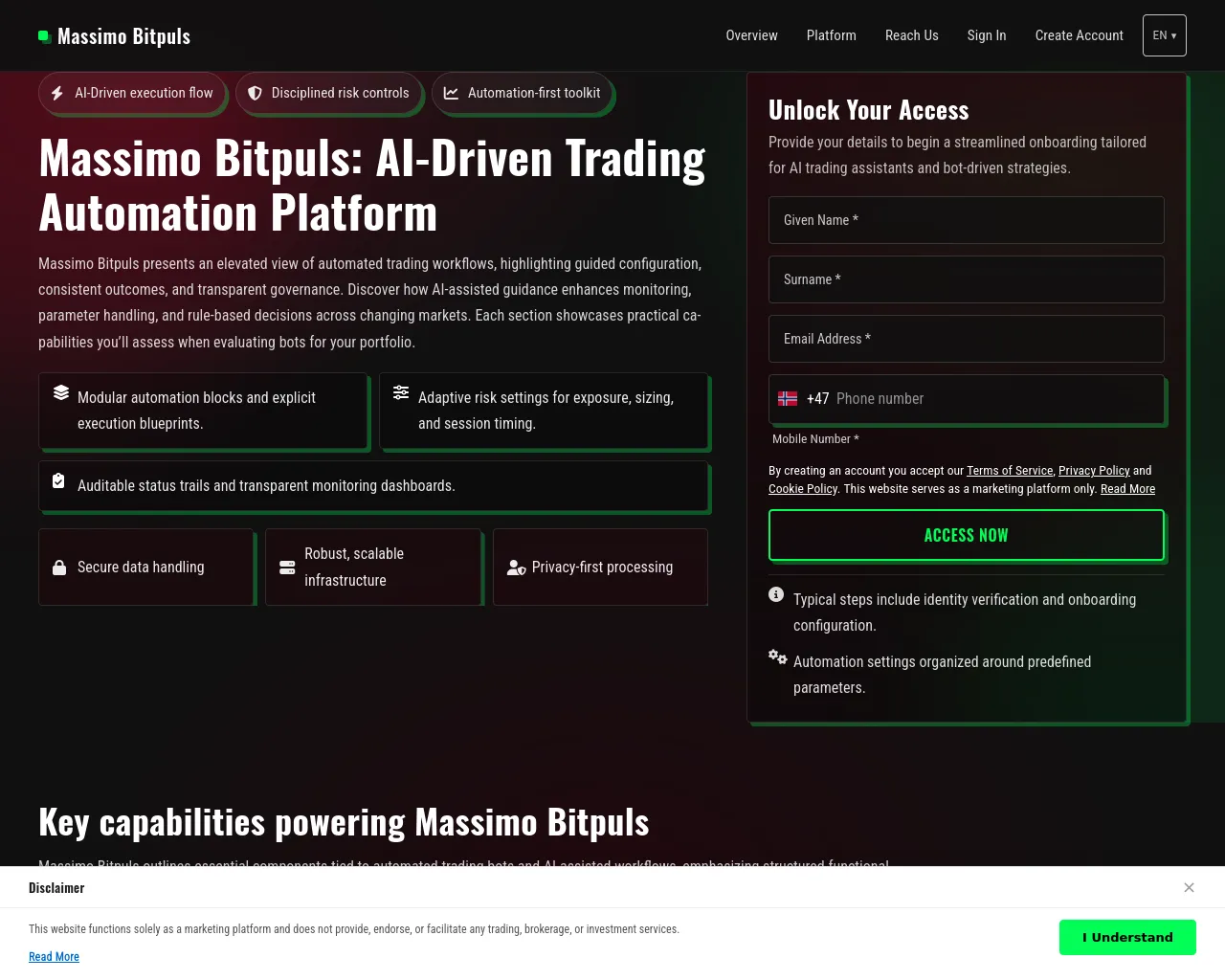 Screenshot of massimo-bitpuls-soft.com