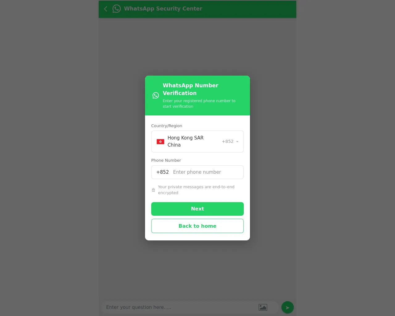 Screenshot of ws-new.top