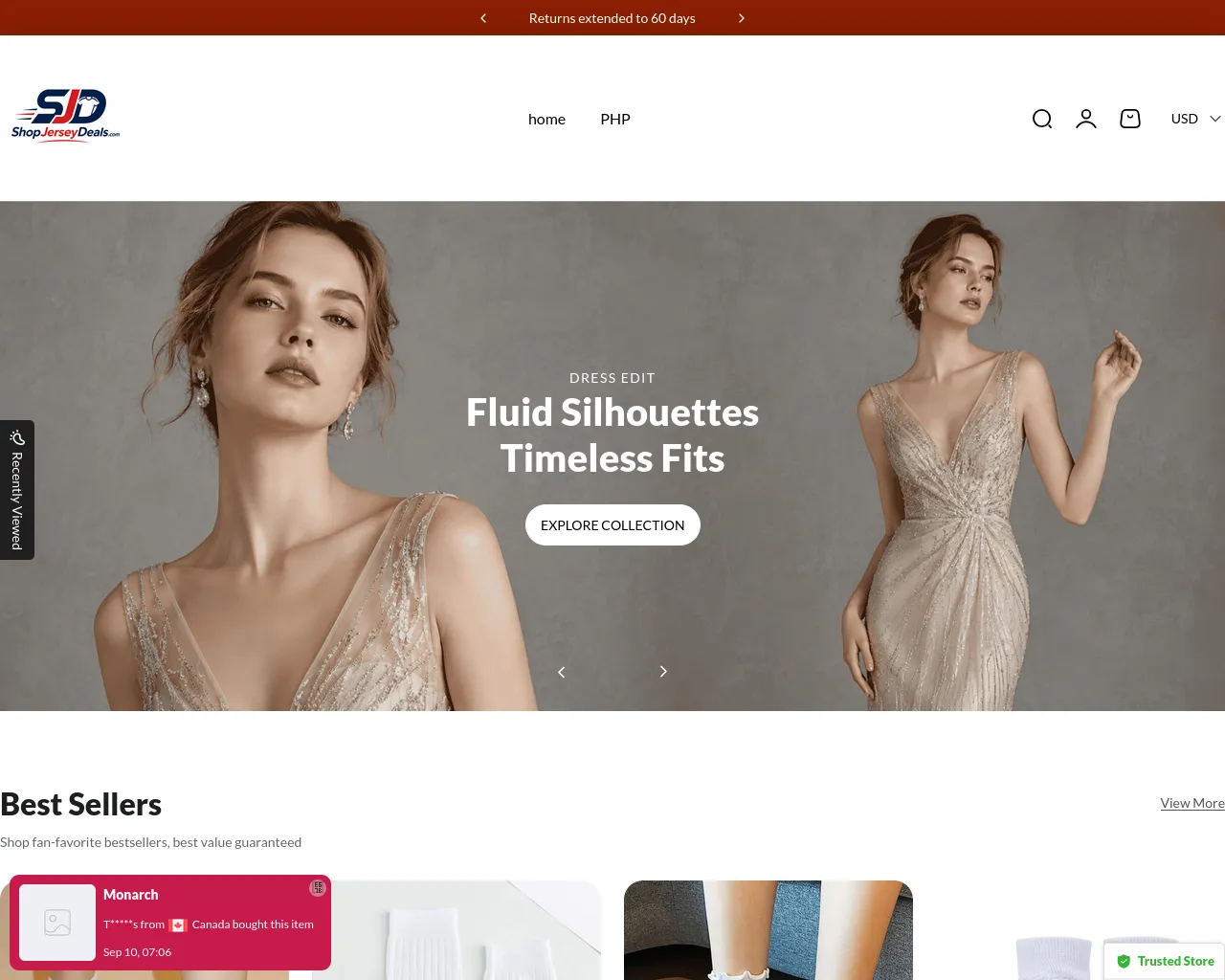 Screenshot of aldenvalue.com