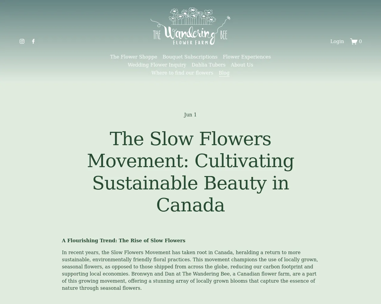Screenshot of pahuropw.com