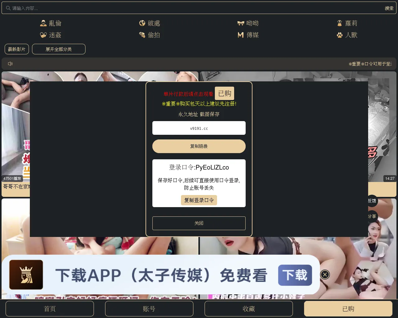Screenshot of v9191.cc