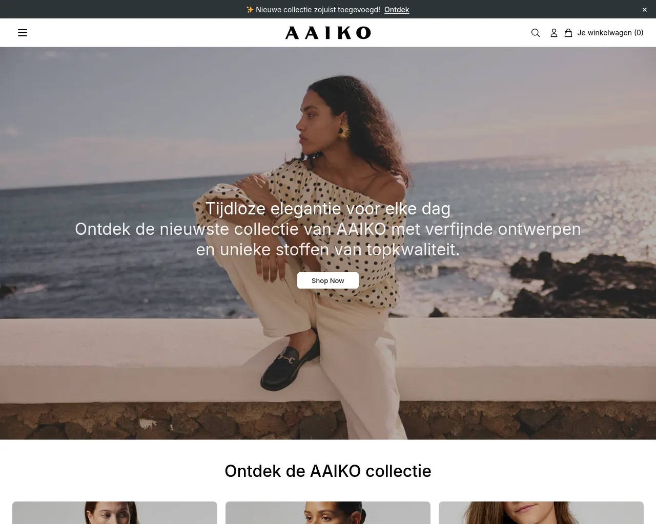 Screenshot of aaikoonline.shop