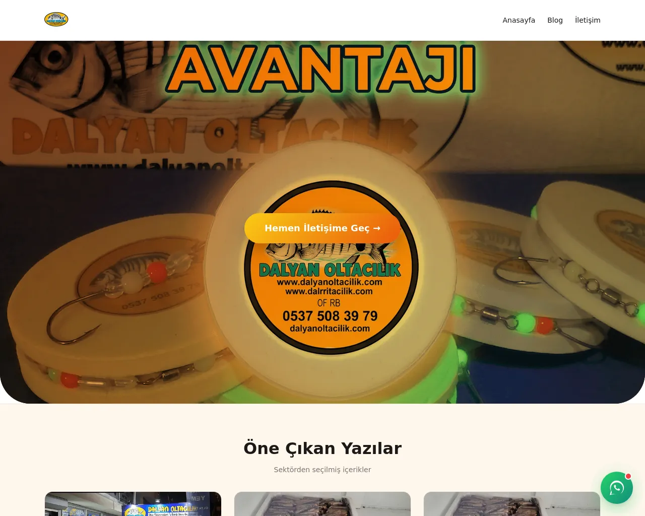 Screenshot of denoolta.com