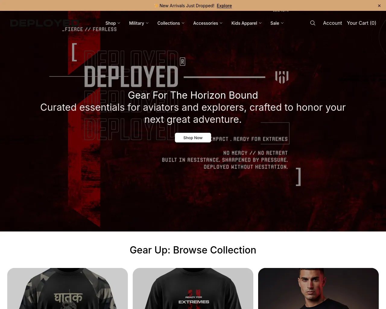 Screenshot of aeroarmourstyle.shop