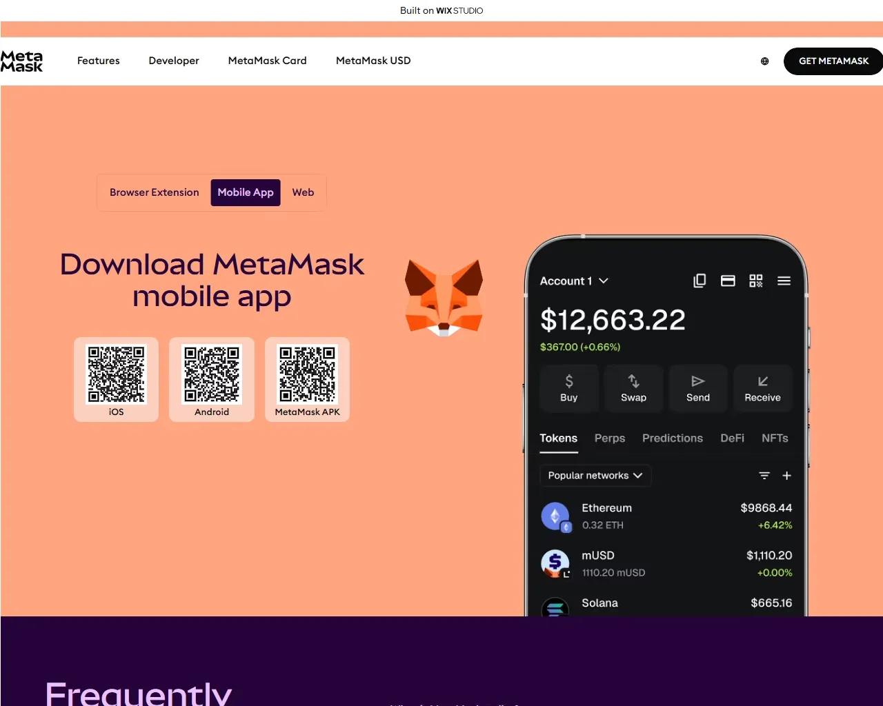 Screenshot of metamuskio-extn.wixstudio.com