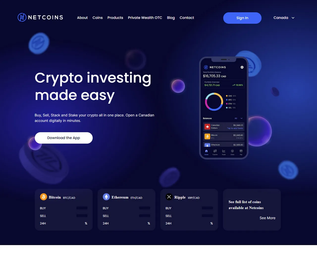 Screenshot of netcoinzlogin.webflow.io