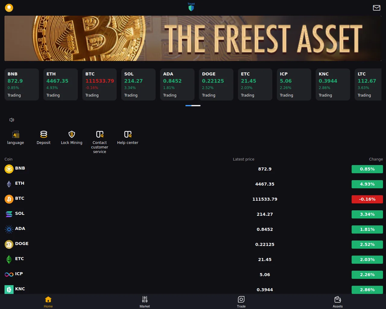 Screenshot of safepalaa.com