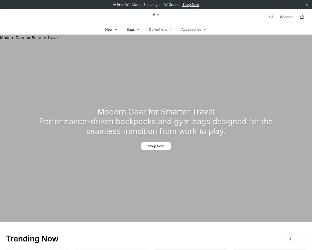 Screenshot of aerlabel.shop