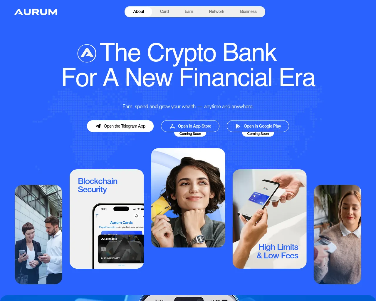 Screenshot of aurumneobank.com