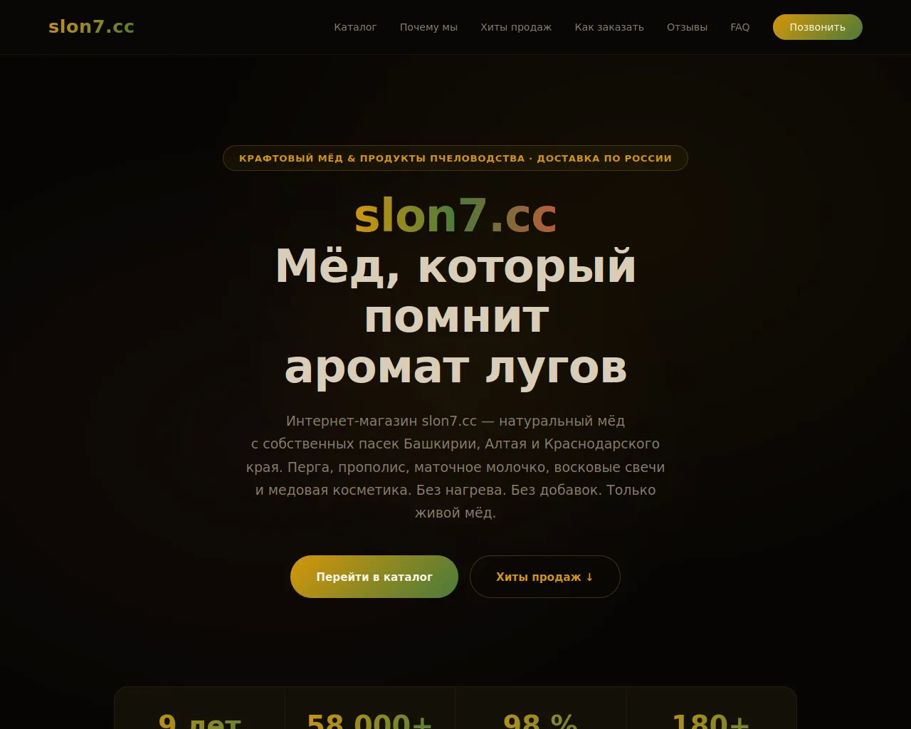 Screenshot of slon7---cc.ru