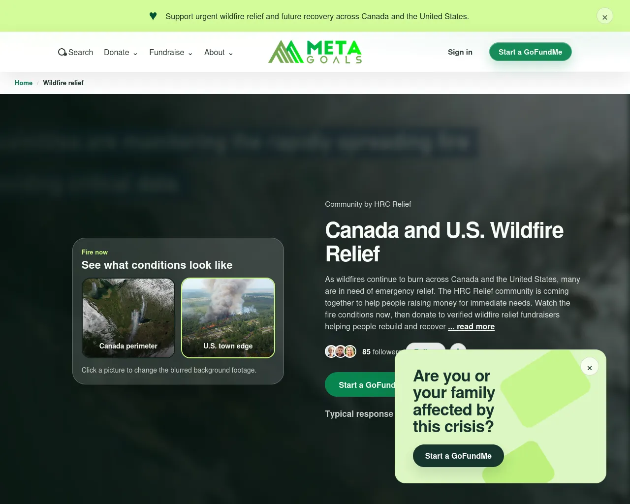 Screenshot of metagoals.sbs