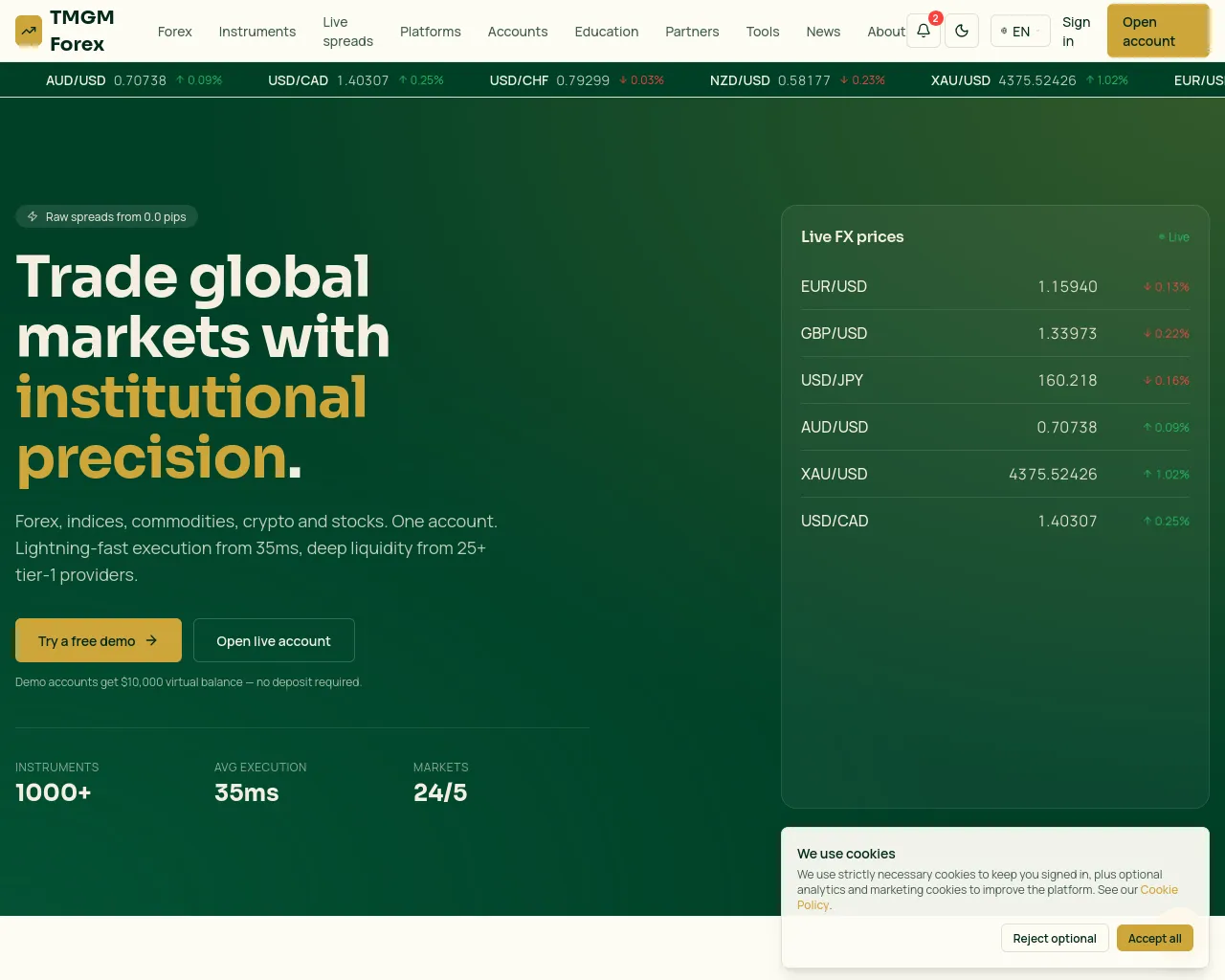 Screenshot of tmgmforex.xyz