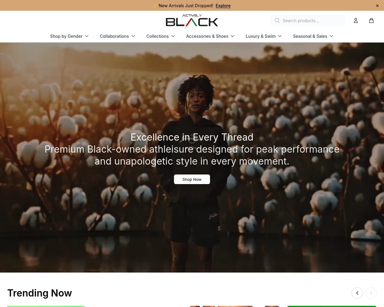Screenshot of activelystyle.shop