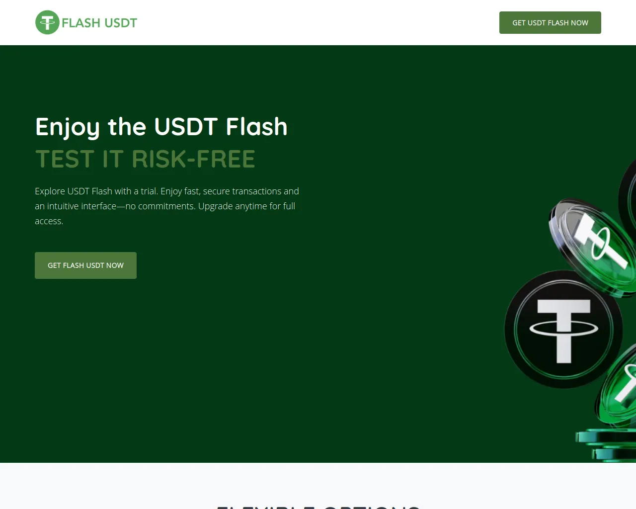 Screenshot of usdtflash.co.in