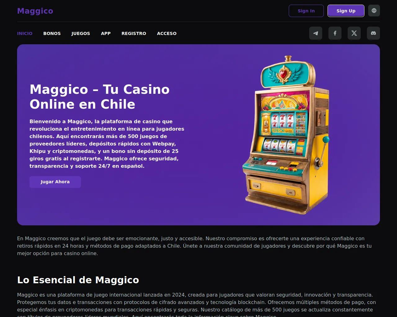 Screenshot of maggico-chile.com
