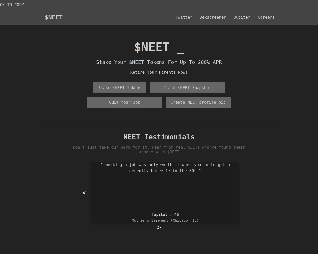 Screenshot of portal-neetcoin.com