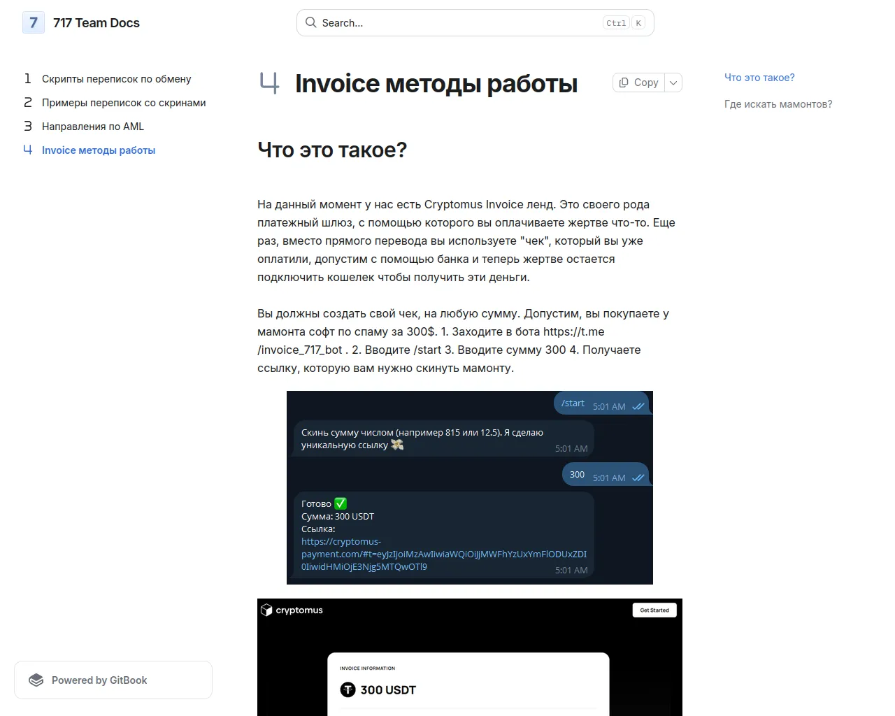 Screenshot of manual.717team.cc