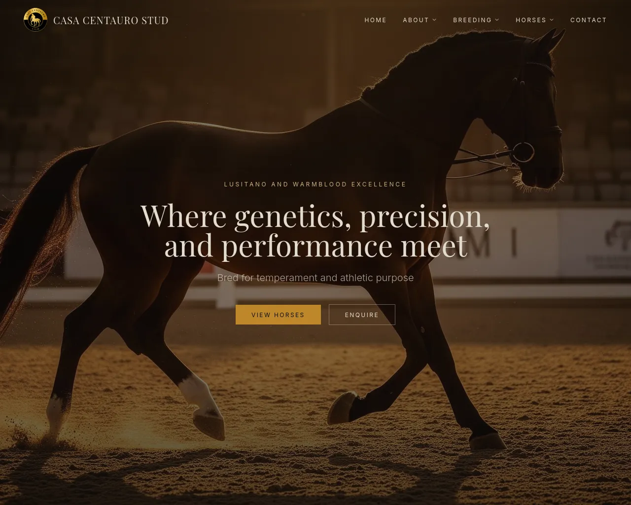 Screenshot of casacentauro.com