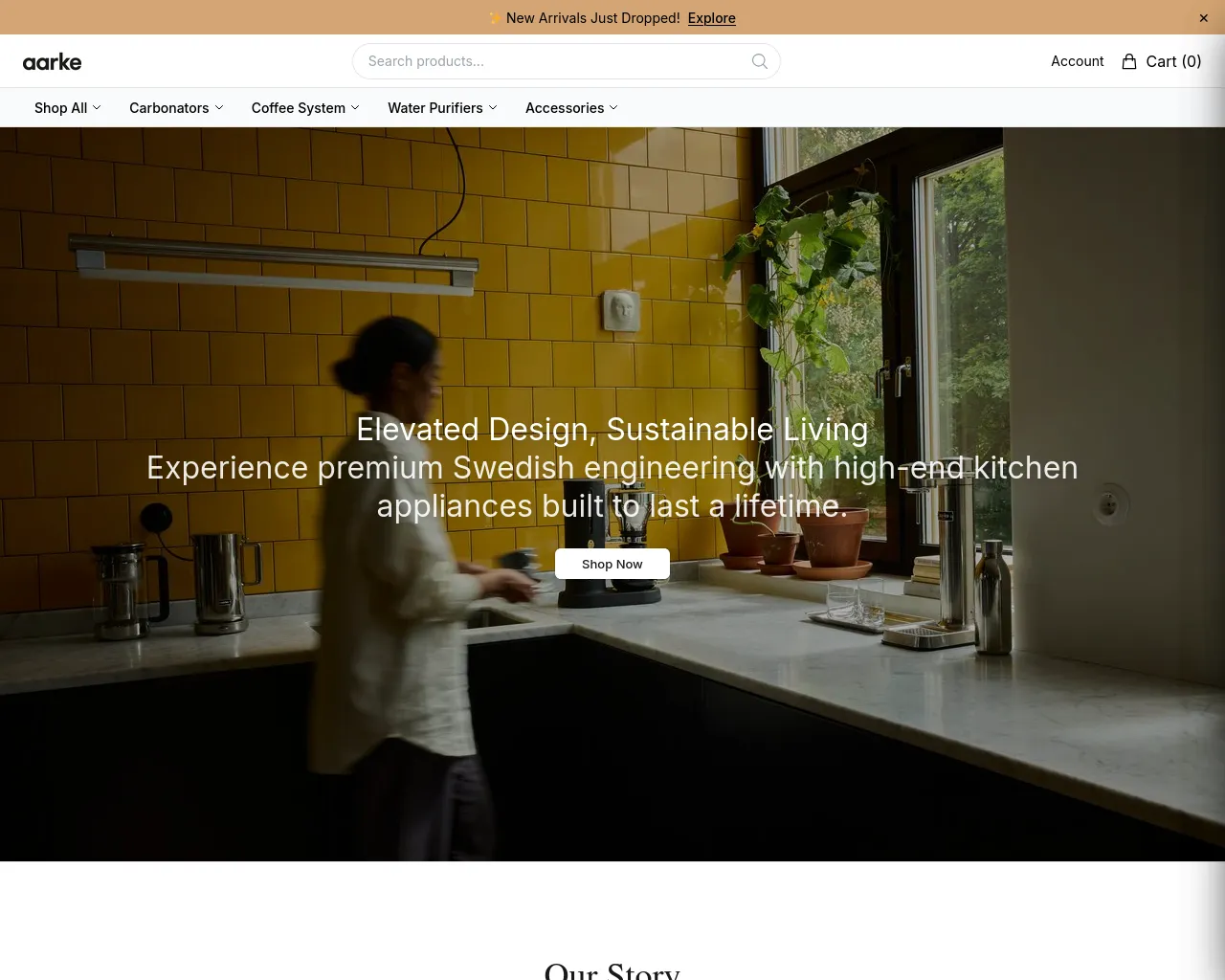 Screenshot of aarkeofficial.shop