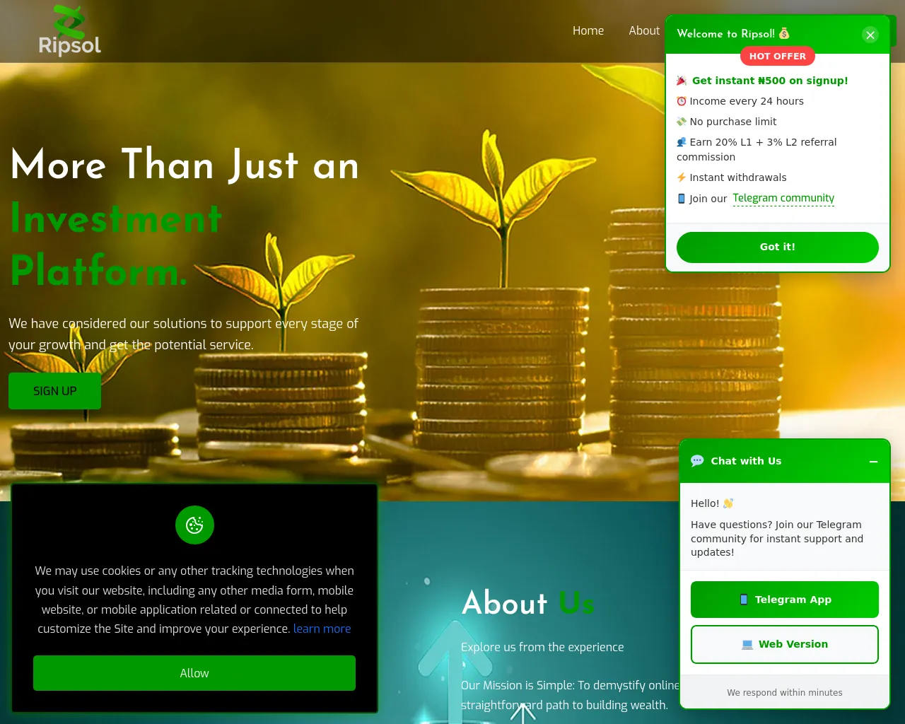 Screenshot of ripsol.com.ng