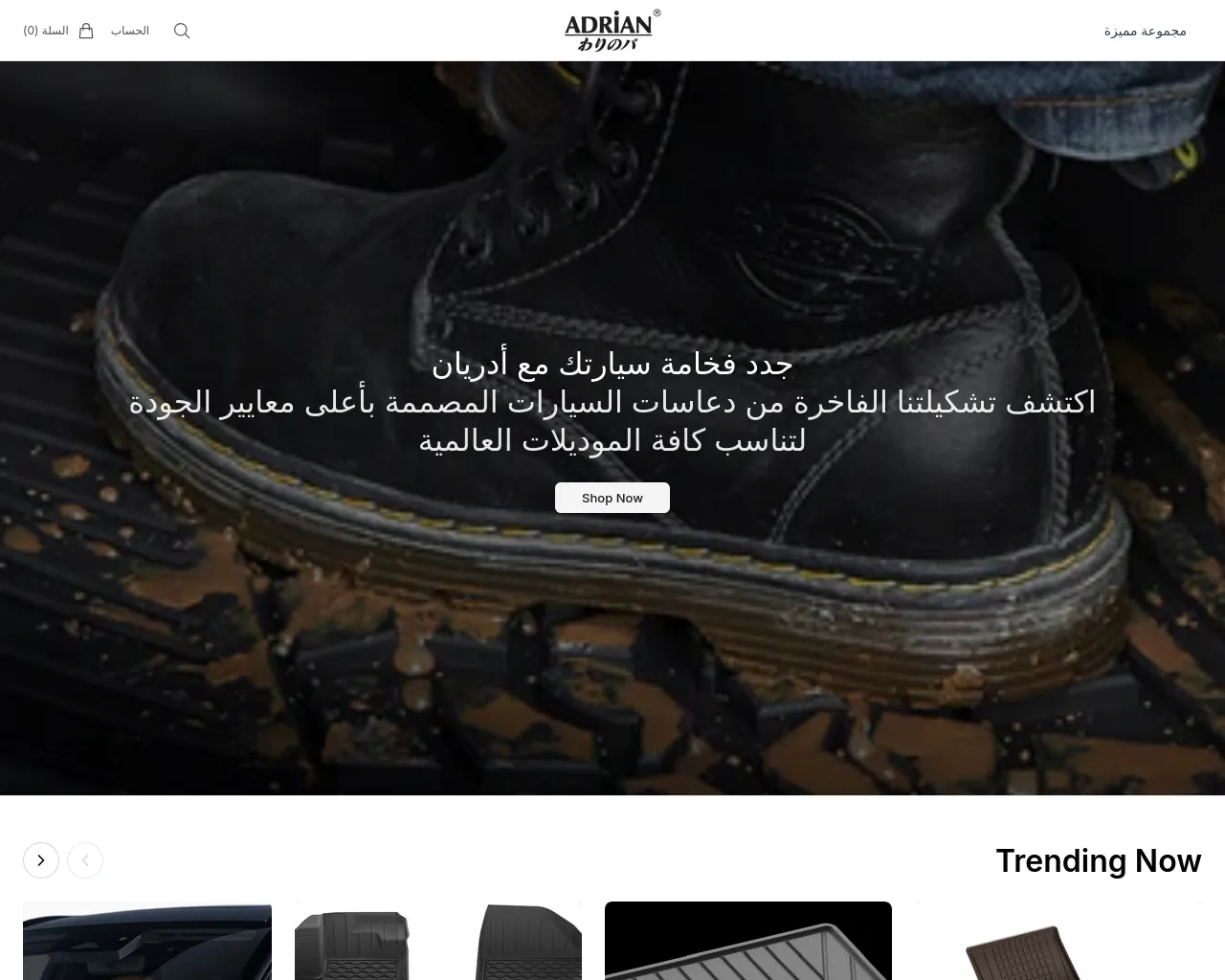 Screenshot of adrianksahq.shop