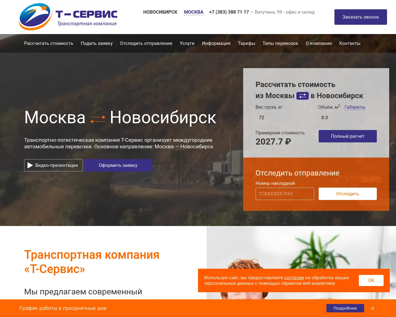 Screenshot of t-servis.com