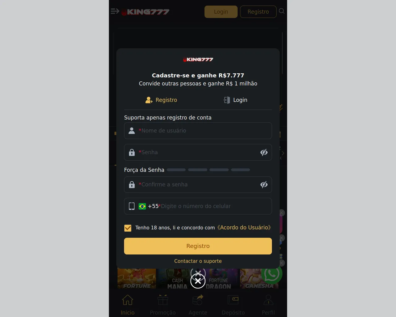 Screenshot of v3-chinesa.fun