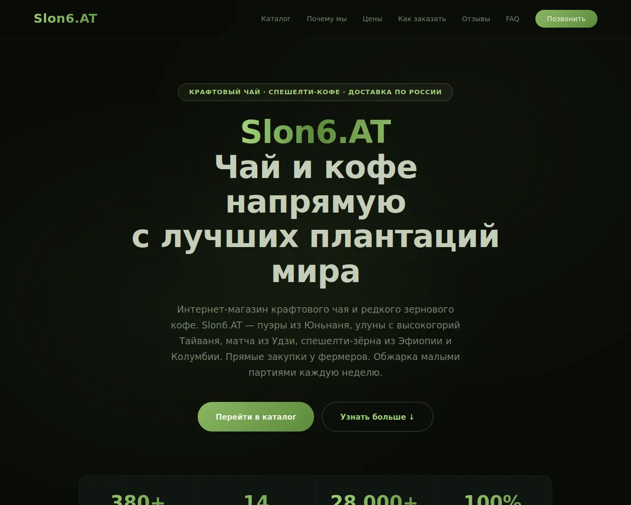 Screenshot of slon6-at.org