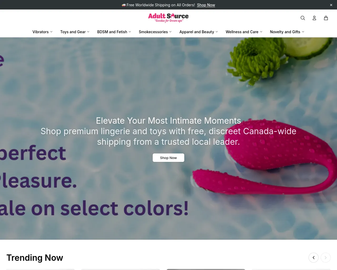 Screenshot of adultsourceboutique.shop