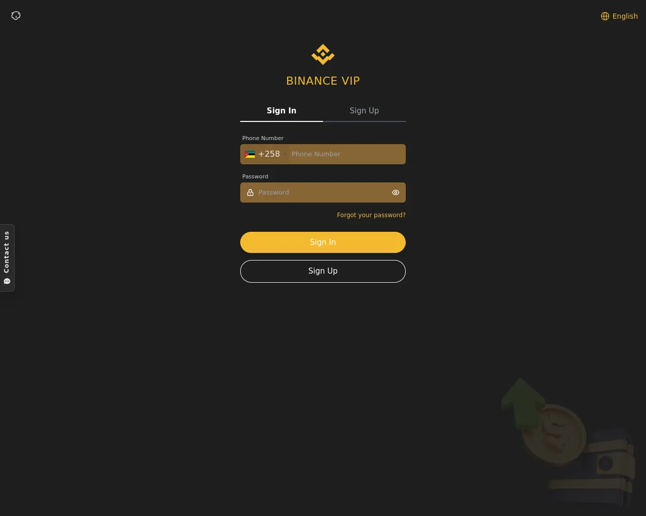 Screenshot of binance-vip.top