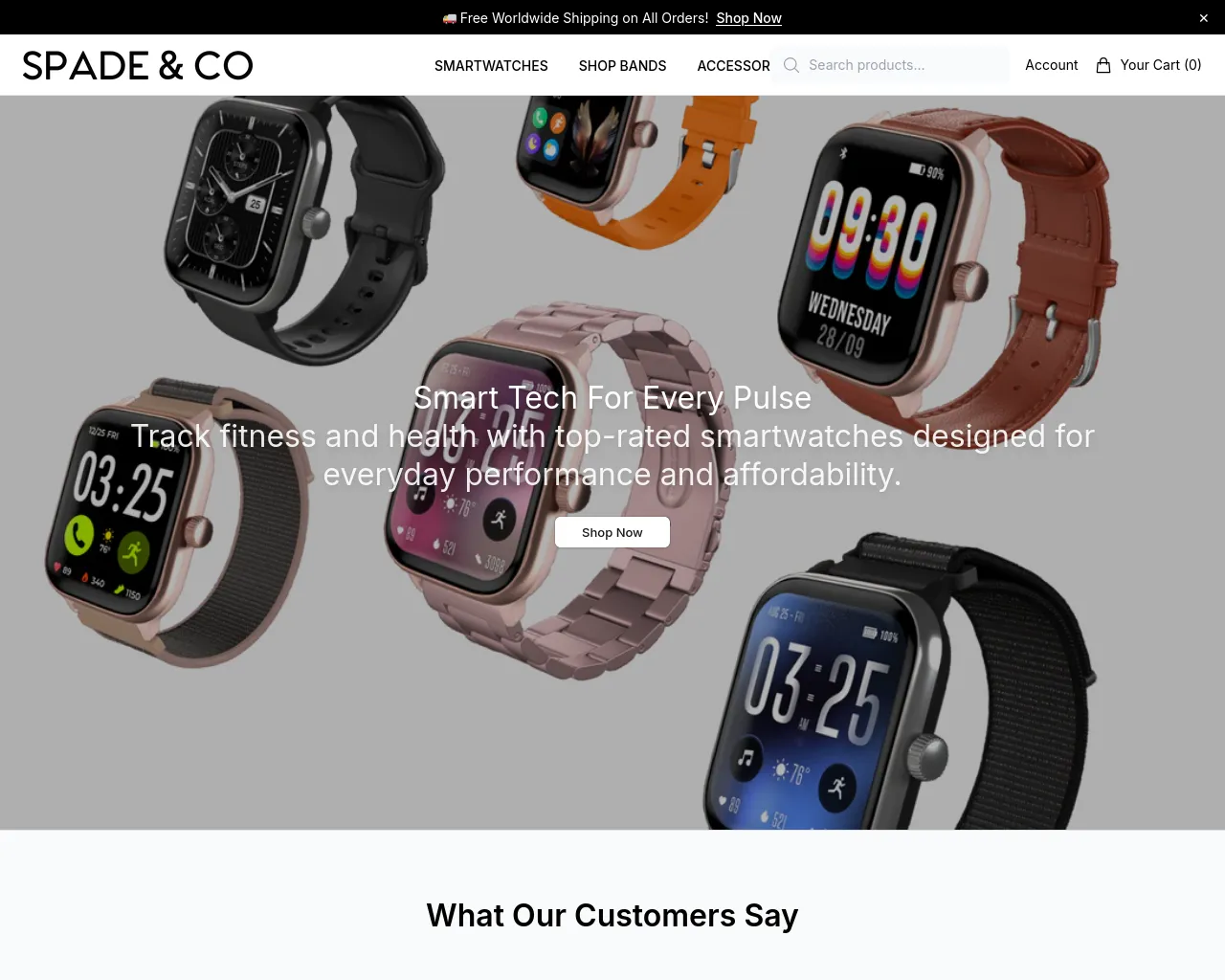 Screenshot of acecircuit.shop