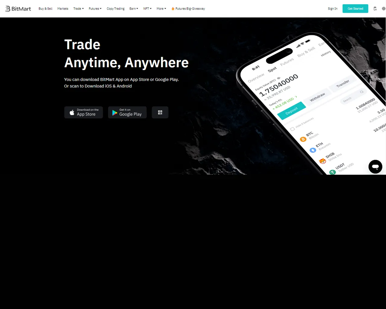 Screenshot of birttmertlogin.webflow.io
