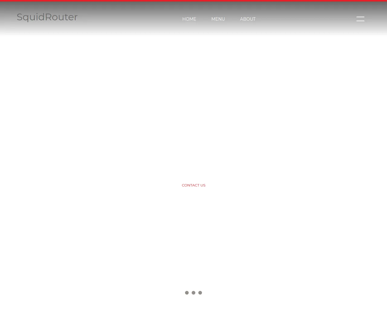 Screenshot of squidrcuoter.com