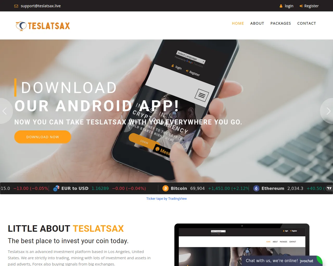 Screenshot of teslatsax.live